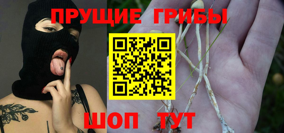 Семёнов  Галлюциногенные грибы MAGIC MUSHROOMS  Псилоцибиновые грибы Psilocybe  Вход с VPN 